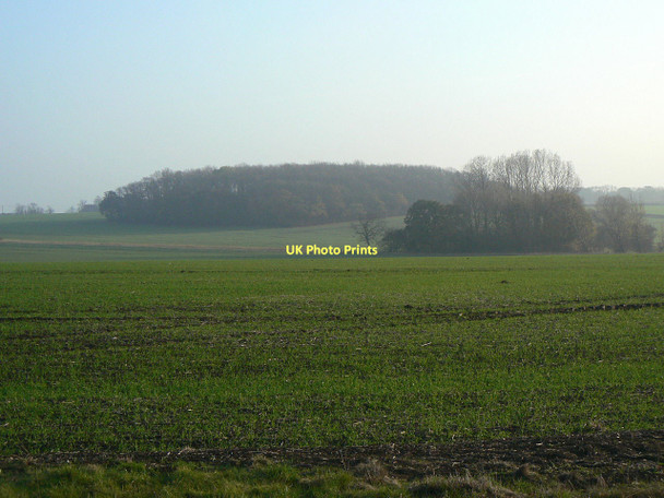 Photo 6"x4" Cropwell Wolds Owthorpe c2011