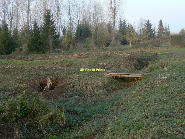 Photo 6"x4" In Fishpond Wood Owthorpe c2011
