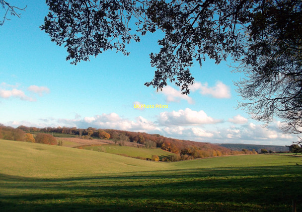 Photo 6"x4" Pishill Bottom and Greenfield Wood Cookley Green\/SU6990 c2011