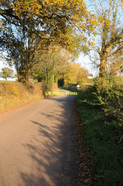 Photo 6"x4" Road out of Dingestow Dingestow c2011