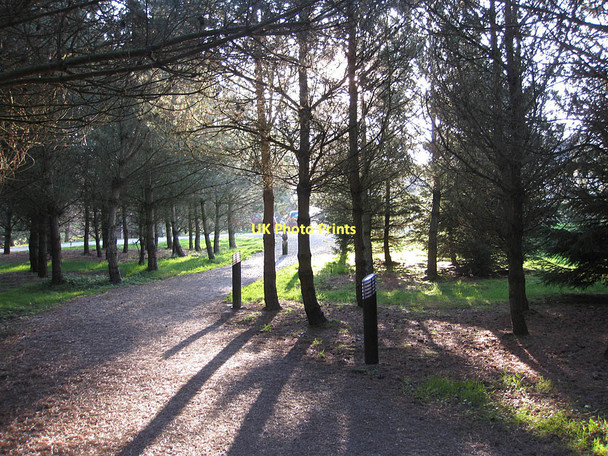 Photo 6"x4" Arboretum entrance Bulmer\/SE6967 c2011
