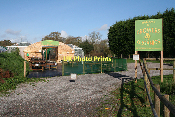 Photo 6"x4" Yealmpton: Growers Organics Yealmpton c2011