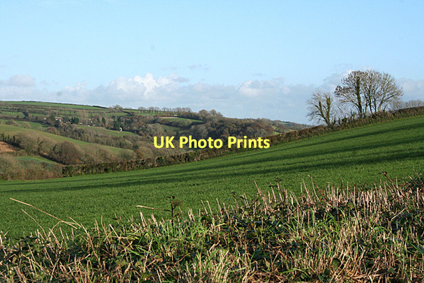 Photo 6"x4" Yealmpton: towards Allercombe Wood Torr\/SX5851 c2011