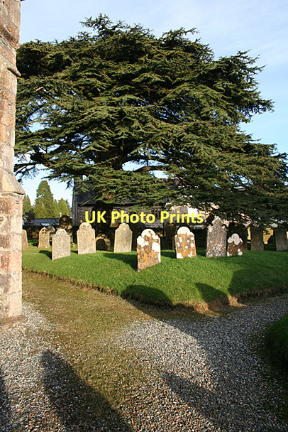 Photo 6"x4" South Brent: St Petroc's churchyard Aish\/SX6960 c2011