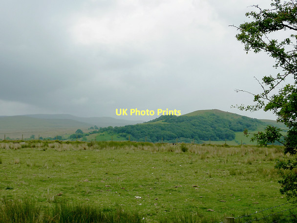 Photo 6"x4" Rough grazing near Cors Caron, Ceredigion Swyddffynnon c2011
