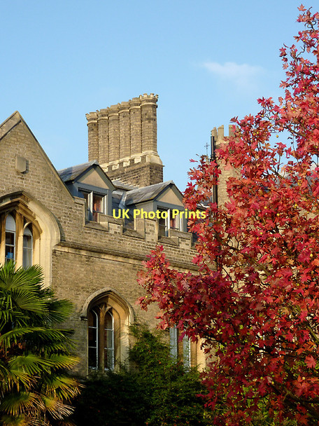 Photo 6"x4" Gisborne Court (detail) in Peterhouse, Cambridge Cambridge\/TL4658 c2011