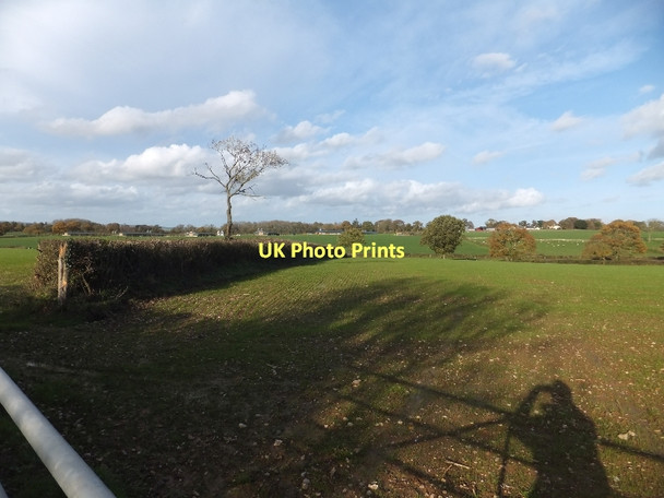 Photo 6"x4" Farmland east of Wressing Kentisbeare c2011