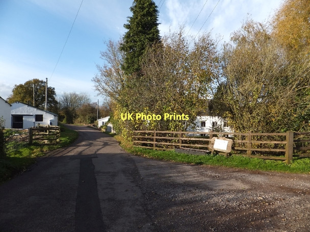 Photo 6"x4" Entrance to fishery at Goodiford Mill Bradfield\/ST0509 c2011