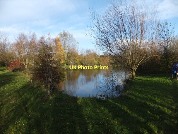 Photo 6"x4" Trout Lake at Goodiford Mill Bradfield\/ST0509 c2011