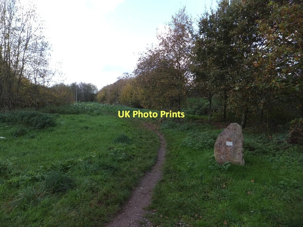 Photo 6"x4" Woodland Trust land at Kentisbeare Kentisbeare c2011