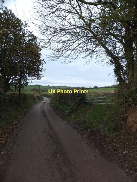 Photo 6"x4" Farmland between Eastington and Lapford Eastington\/SS7409 c2011