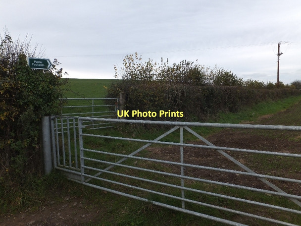 Photo 6"x4" Footpath near Kelland Cross Lapford Cross c2011