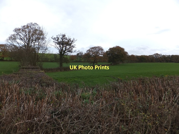 Photo 6"x4" Fields near Stopgate Cross Zeal Monachorum c2011