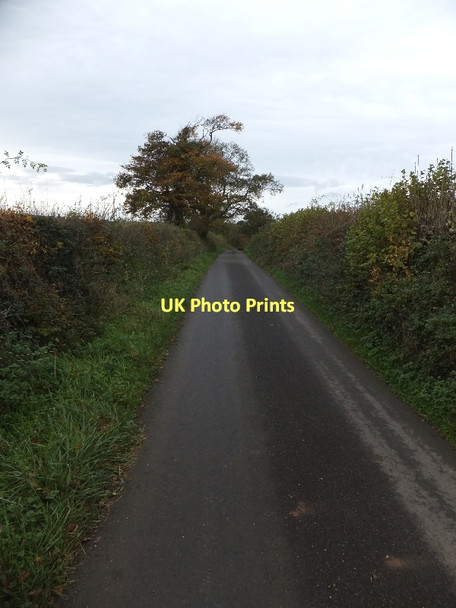 Photo 6"x4" Yeo Road north of Thorne Farm Down St Mary c2011 P1
