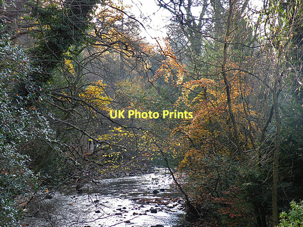 Photo 6"x4" Water of Leith Craiglockhart c2011