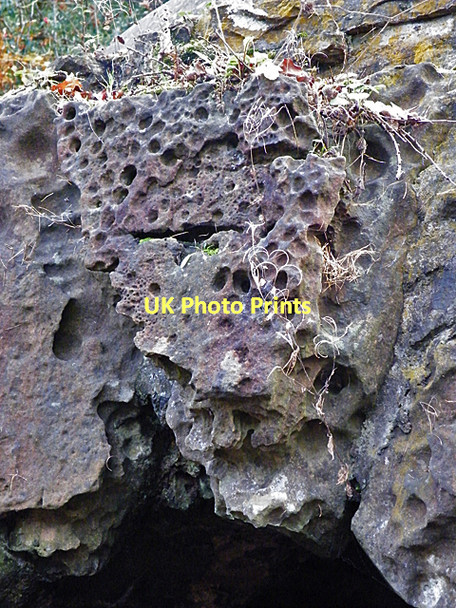 Photo 6"x4" Carious Weathering of Sandstone Craiglockhart c2011