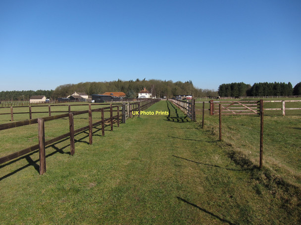 Photo 6"x4" Restricted byway to Oak Farm West Tofts\/TL8392 c2011