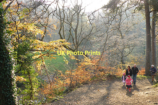 Photo 6"x4" A Walk in the Sunshine Kingsknowe c2011
