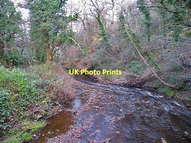 Photo 6"x4" Water of Leith Kingsknowe c2011