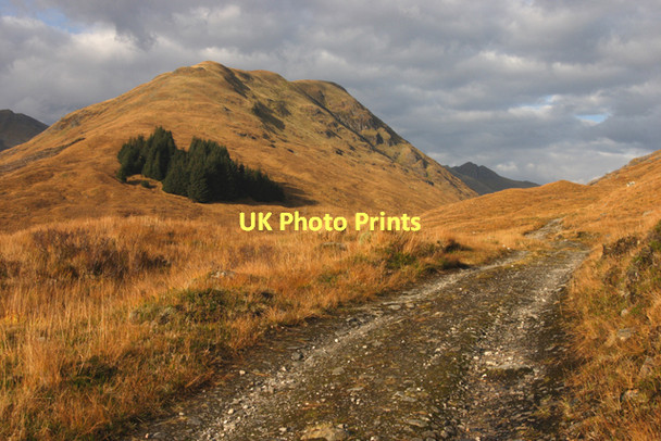 Photo 6"x4" The path to Alltbeithe in autumn Fuaran c2011
