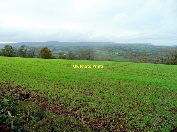 Photo 6"x4" View to the Black Mountains Grosmont\/SO4024 c2011