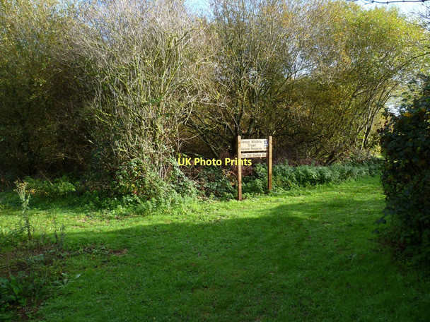 Photo 6"x4" Orange Way in Devon and Torbay (214) Exminster c2011