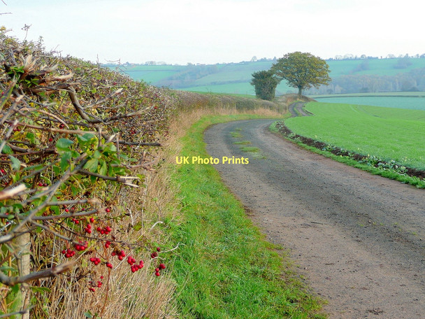 Photo 6"x4" Farm track; late autumn Lea\/SO6521 c2011