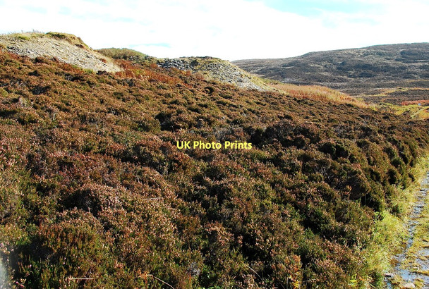 Photo 6"x4" Russa Dale Ireland\/HY3009 c2010