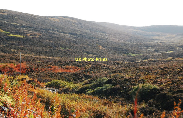 Photo 6"x4" Looking up Russa Dale Ireland\/HY3009 c2010