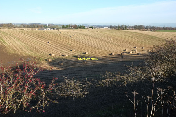 Photo 6"x4" Field south of Freelands Ratho c2011