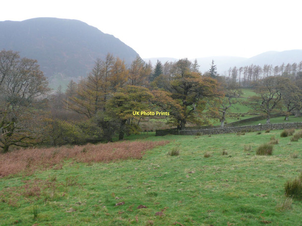 Photo 6"x4" Woodland and pasture above Crummock Water Loweswater\/NY1420 c2011