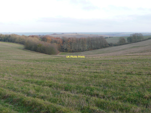 Photo 6"x4" Looking from Stoke Hill over the woods  Erlestoke c2011