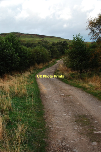 Photo 6"x4" Track to the grouse moors Kinnauld c2011
