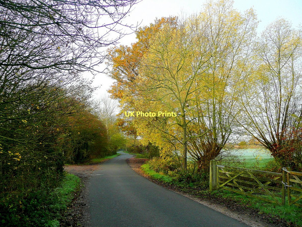 Photo 6"x4" Lower Lode Lane Tewkesbury c2011
