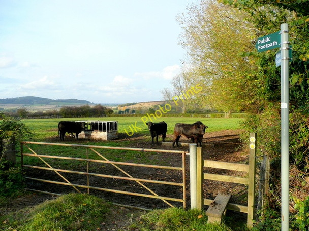Photo 6"x4" Two footpaths diverge Greet\/SP0230 c2009