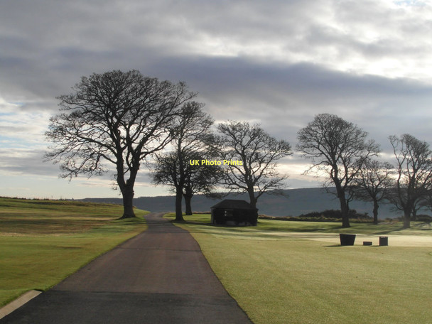 Photo 6"x4" Bare trees on the Carnegie Golf Course Clashmore\/NH7489 c2011