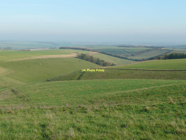 Photo 6"x4" Pasture north west of Milk Hill Alton Barnes c2011