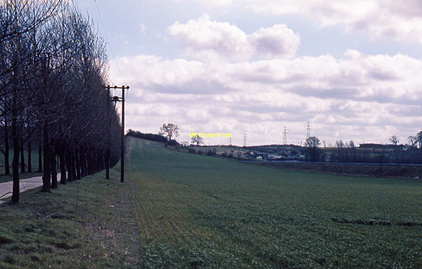 Photo 6"x4" Field near Chalton Houghton Regis c1976