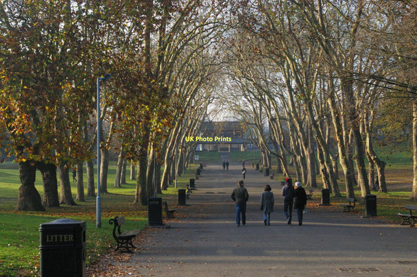 Photo 6"x4" Main avenue, Crystal Palace Park Penge c2011