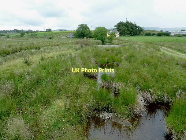 Photo 6"x4" Boggy land by the Afon Teifi near Ystradmeurig, Ceredigion Swyddffynnon c2011