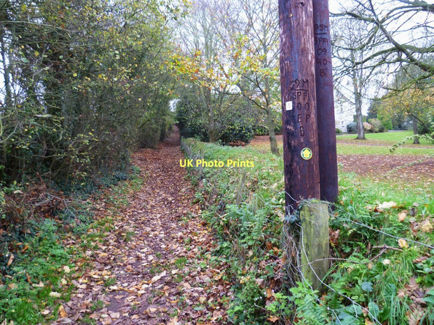 Photo 6"x4" Orange Way in Devon and Torbay (294) Ebford c2011