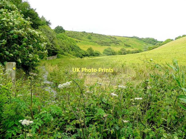 Photo 6"x4" Lush Devon valley Kingston\/SX6347 c2011