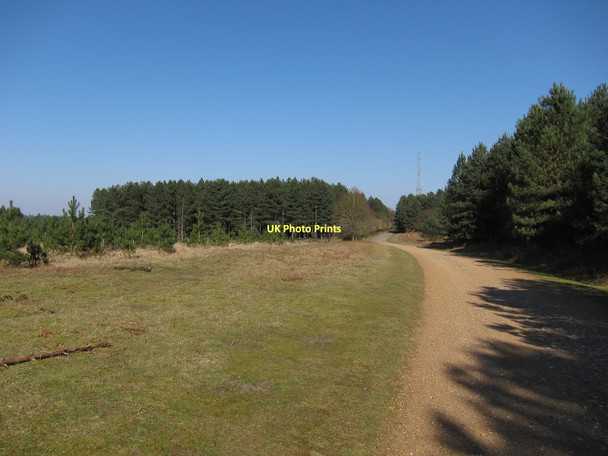 Photo 6"x4" Bridleway to Mayday Farm Brandon\/TL7886 c2011