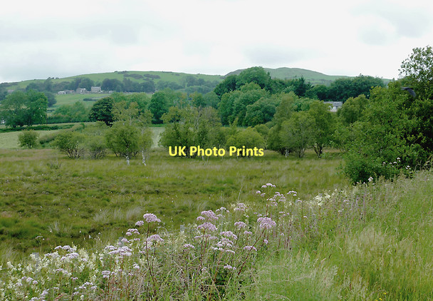 Photo 6"x4" Rough pasture near Ystradmeurig, Ceredigion Ystradmeurig c2011