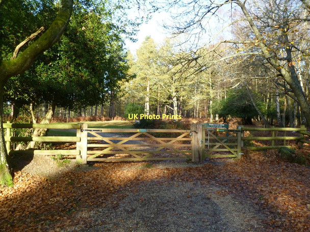 Photo 6"x4" Anderwood, gate Burley Lawn c2011