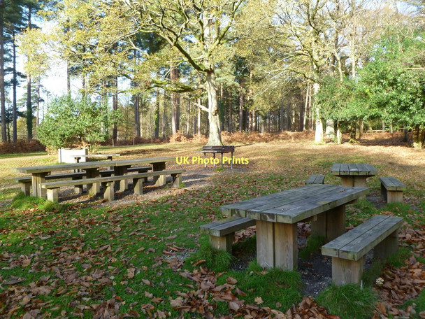 Photo 6"x4" Anderwood, BBQ site Burley Lawn c2011