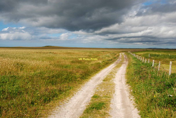 Photo 6"x4" The Machair in summer Dreumasdal c2009