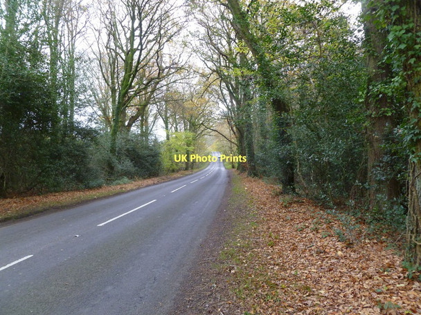 Photo 6"x4" Sutton Hill, B road Romford\/SU0709 c2011