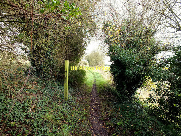 Photo 6"x4" Into the open Broad Chalke c2011