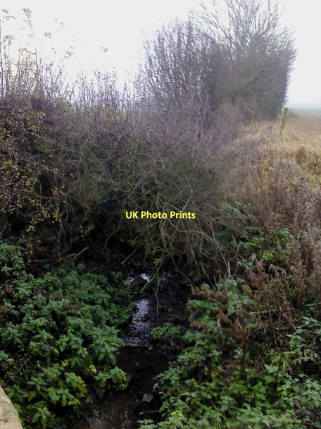 Photo 6"x4" Over-grown Stream Rainton\/SE3775 c2011